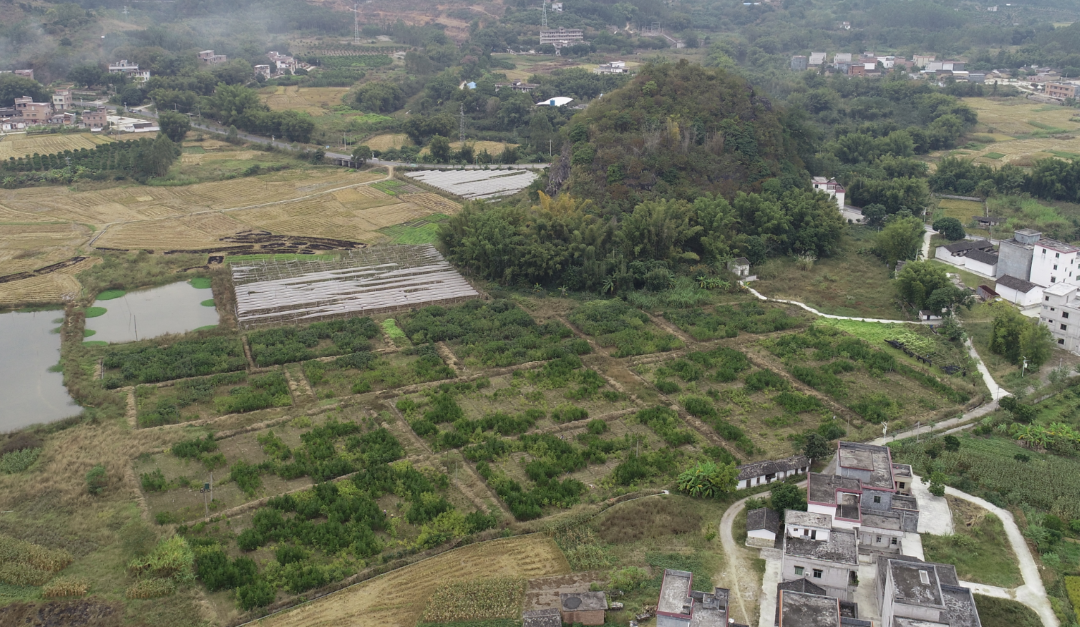 CADE aerial view